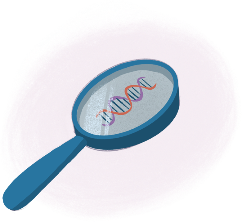Pompe Genetics