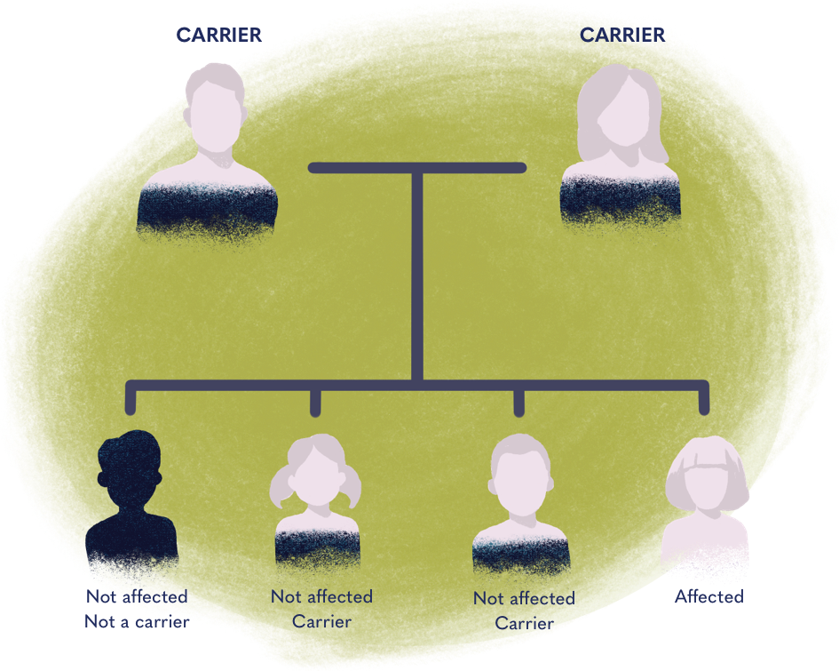 How Pompe is Inherited